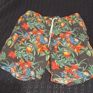 Men’s bathing suit with Forrest theme size, medium